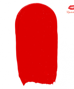 chat-son-tom-ford-dressed-to-kill